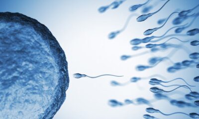 Sperm From Older Men Have More Genetic Mutations
