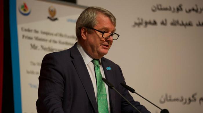 Unicef’s Yemen chief among 20 UN staff held by Houthis Unicef’s Yemen chief among 20 UN staff held by Houthis