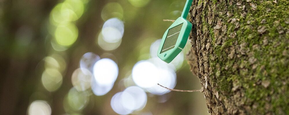 Vodafone goes for Dell in major Open RAN network modernisation | Computer Weekly