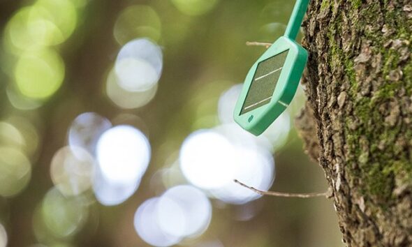 Vodafone goes for Dell in major Open RAN network modernisation | Computer Weekly