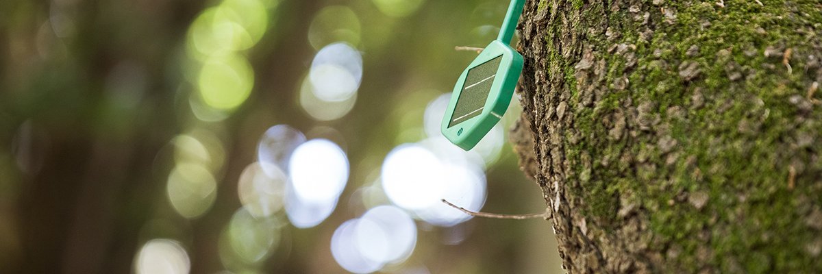 Vodafone goes for Dell in major Open RAN network modernisation | Computer Weekly Vodafone goes for Dell in major Open RAN network modernisation | Computer Weekly