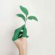 WRAP resets Textiles Pact Roadmap 2030 challenge as soaring textile volumes derail progress WRAP resets Textiles Pact Roadmap 2030 challenge as soaring textile volumes derail progress