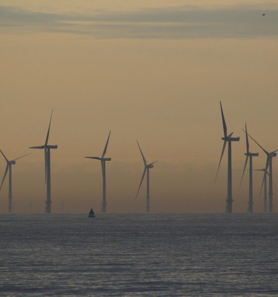 Wind power has saved UK consumers more than £100 billion since 2010—new study