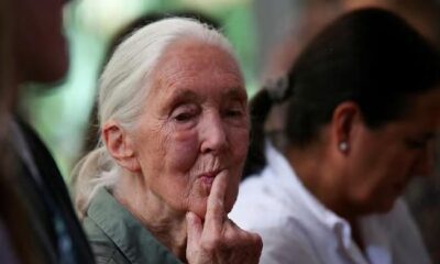 World reacts to ‘chimp whisperer’ Jane Goodall’s death