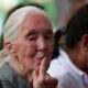 World reacts to ‘chimp whisperer’ Jane Goodall’s death
