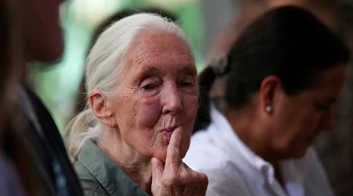World reacts to ‘chimp whisperer’ Jane Goodall’s death
