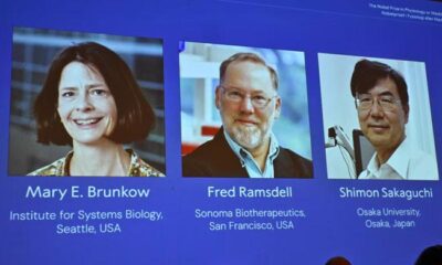 Medicine Nobel to trio who identified immune system’s ‘security guards’
