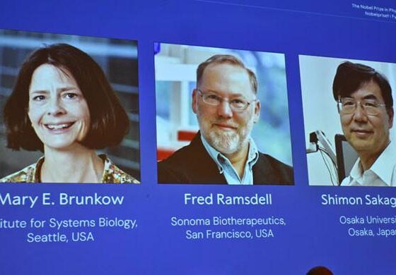 Medicine Nobel to trio who identified immune system’s ‘security guards’
