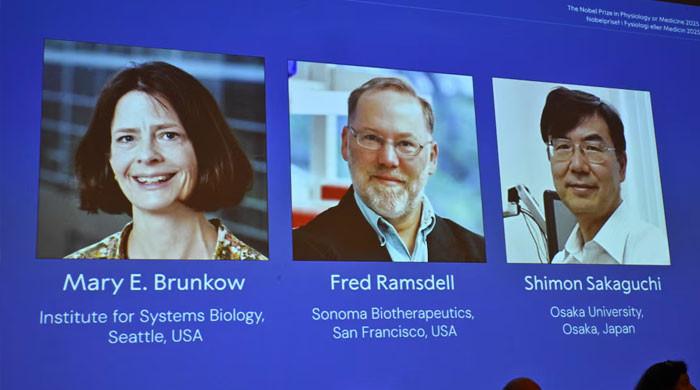 Medicine Nobel to trio who identified immune system’s ‘security guards’