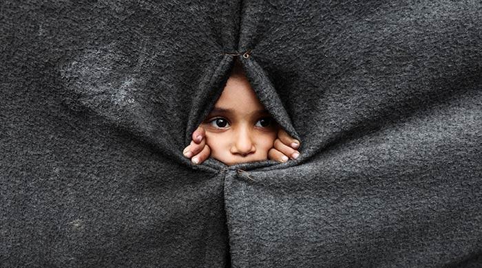 Netizens welcome ceasefire with tears — but vow never to forget the pain Netizens welcome ceasefire with tears — but vow never to forget the pain