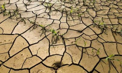 Nearly 900m poor people exposed to climate shocks, warns UN