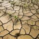 Nearly 900m poor people exposed to climate shocks, warns UN