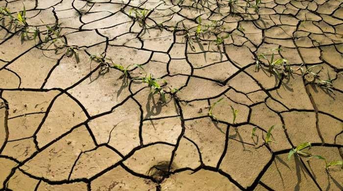 Nearly 900m poor people exposed to climate shocks, warns UN Nearly 900m poor people exposed to climate shocks, warns UN
