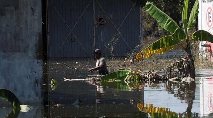 Mexico flood toll rises to 76, many still missing Mexico flood toll rises to 76, many still missing