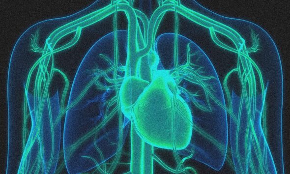 A Gene Editing Therapy Cut Cholesterol Levels by Half