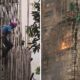 Bamboo scaffolding under scrutiny after Hong Kong’s deadliest fire in century kills 55