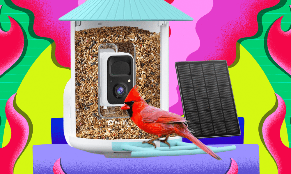 Birdfy Smart Bird Feeders Are the Cheapest They’ve Been All Year on Amazon Right Now