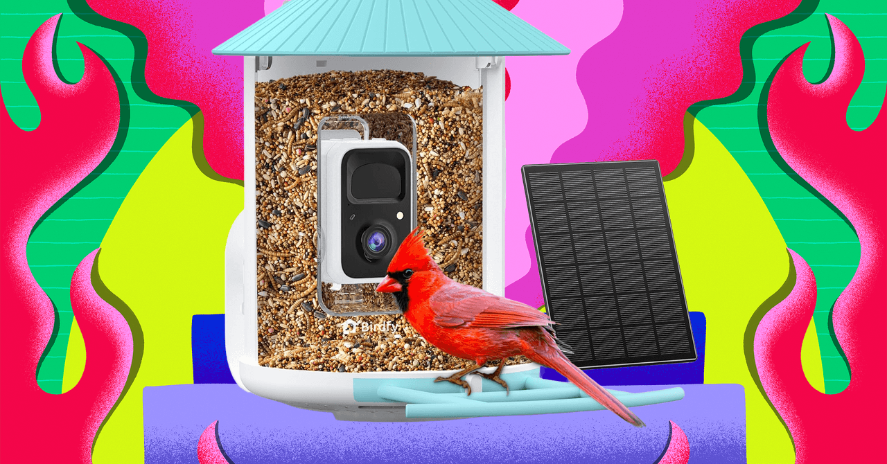 Birdfy Smart Bird Feeders Are the Cheapest They’ve Been All Year on Amazon Right Now