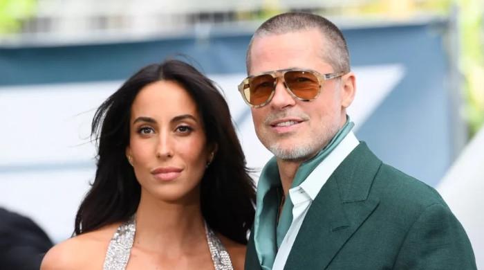 Brad Pitt, Ines de Ramon trash feud rumours with latest outing