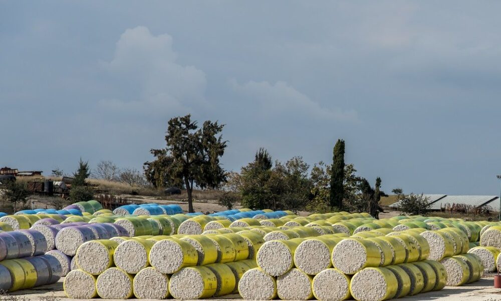 CCI cotton procurement reaches 1 lakh bales daily amid rising arrivals