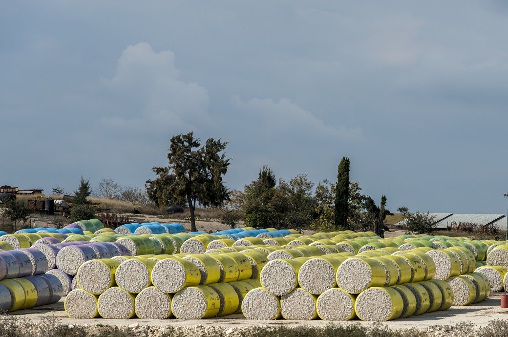 CCI cotton procurement reaches 1 lakh bales daily amid rising arrivals