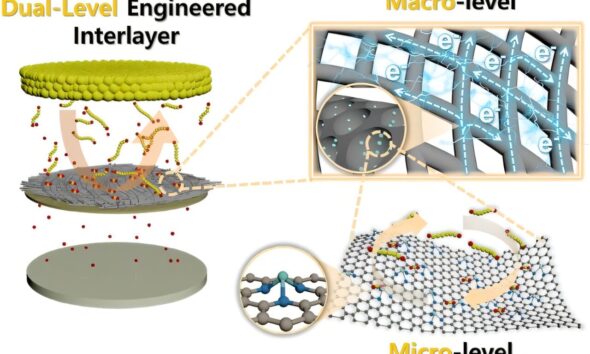 Dual-level engineering strategy shows promise for high-performance lithium–sulfur batteries