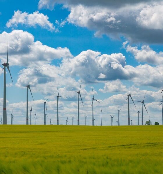 EU Commission grants over 4 mn for 132 clean transition projects