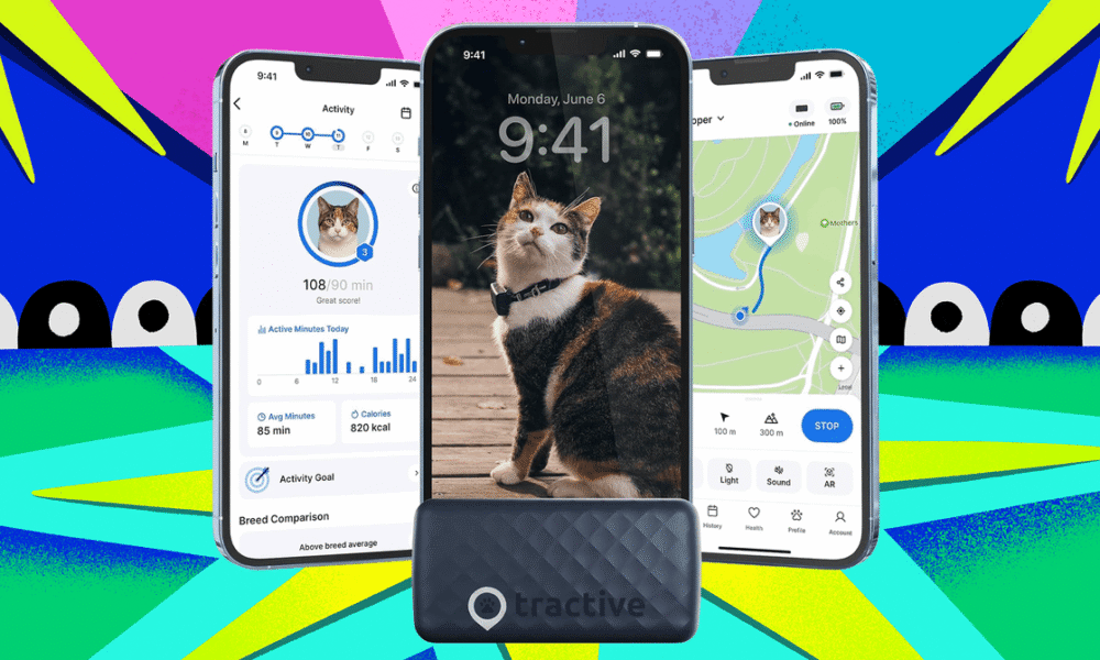 Get the Weight Off Your Fat Cat With 40 Percent Off Tractive’s Pet Trackers