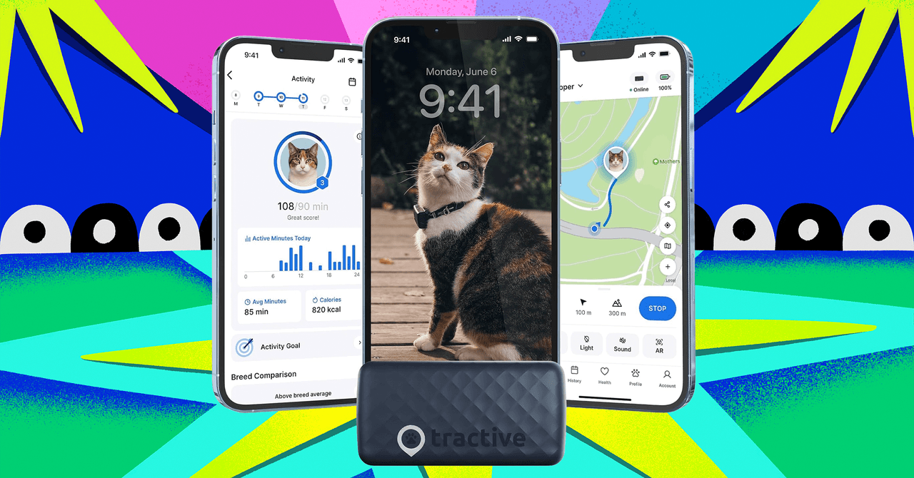 Get the Weight Off Your Fat Cat With 40 Percent Off Tractive’s Pet Trackers