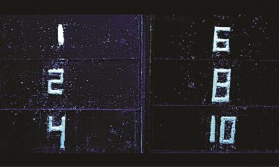 Green alternative for light-emitting materials in displays uses plant waste and amino acids