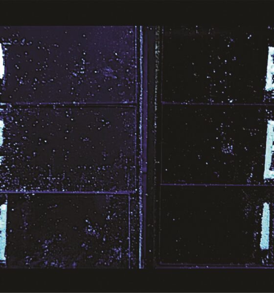 Green alternative for light-emitting materials in displays uses plant waste and amino acids