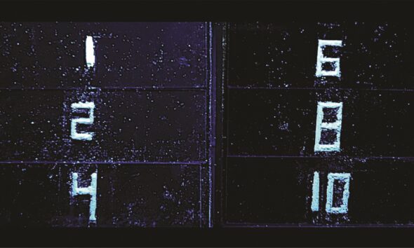 Green alternative for light-emitting materials in displays uses plant waste and amino acids