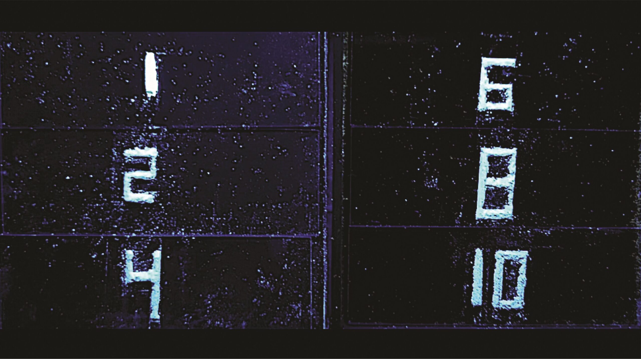 Green alternative for light-emitting materials in displays uses plant waste and amino acids