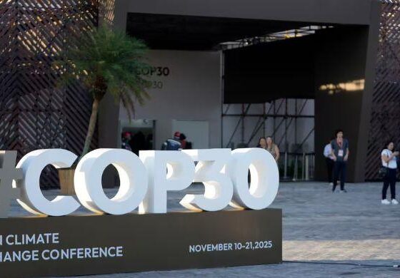 Here’s what’s really at stake