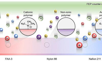 Humidity unlocks hidden power of ions in generating static electricity
