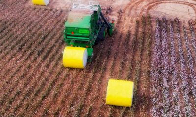 ICE cotton slips as weak US stocks, grains pressure market