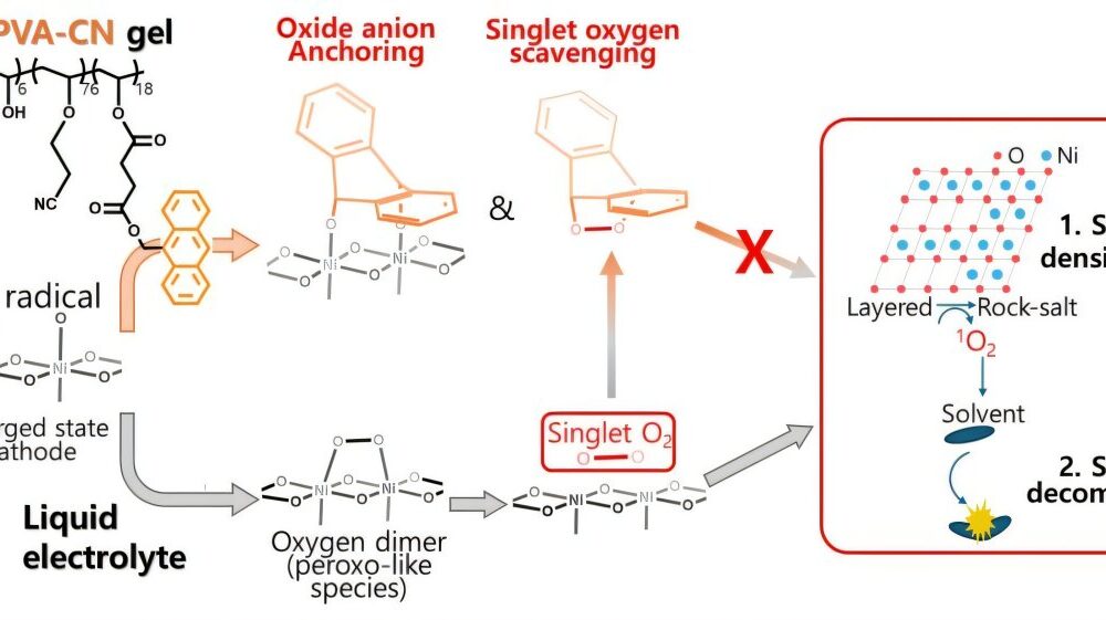 Long-range EV batteries could last 2.8 times longer thanks to new gel electrolyte