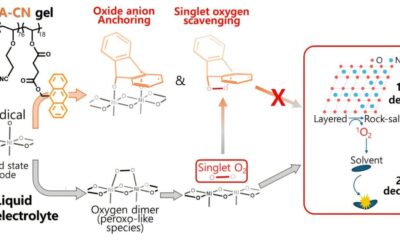 Long-range EV batteries could last 2.8 times longer thanks to new gel electrolyte
