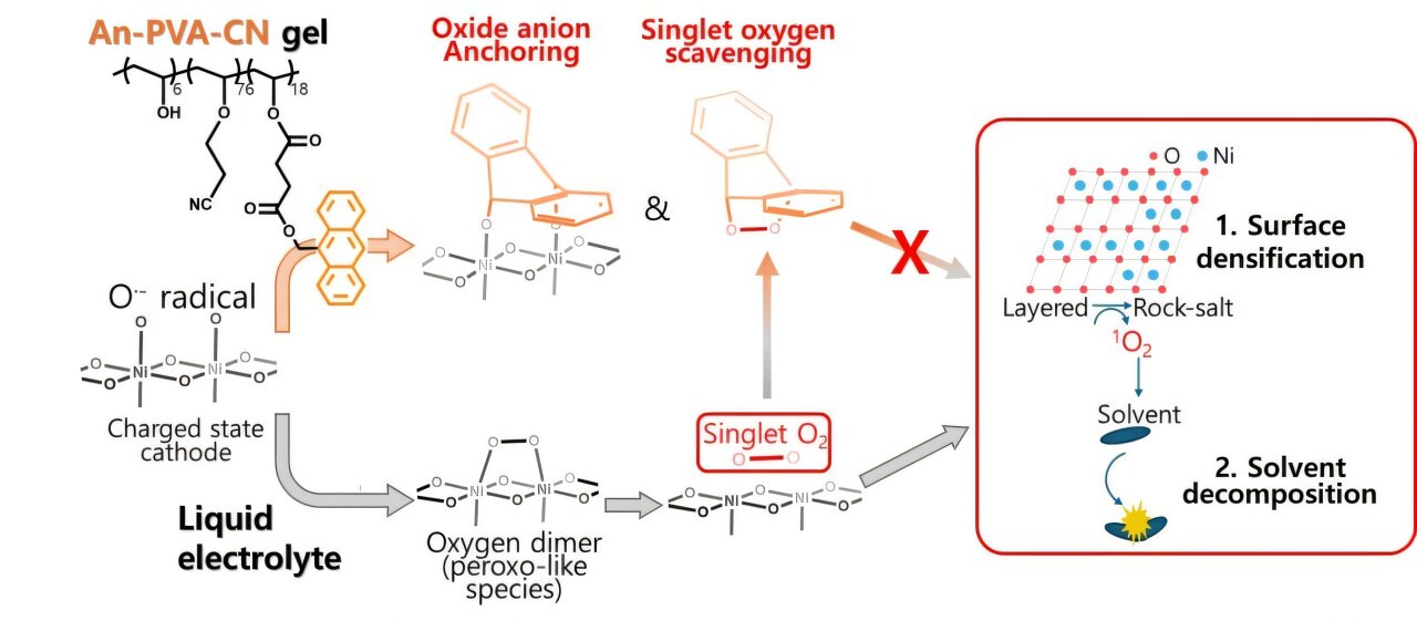Long-range EV batteries could last 2.8 times longer thanks to new gel electrolyte