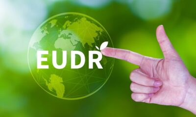 MEPs back simpler EU deforestation rules; grant extra transition year