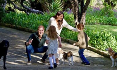 Meghan Markle spills Prince Harry bee harvesting job in confession