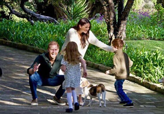 Meghan Markle spills Prince Harry bee harvesting job in confession