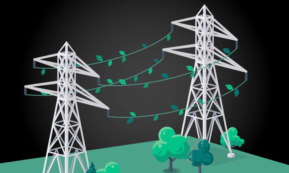 Nature’s resilience inspires an improved power grid