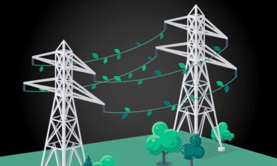 Nature’s resilience inspires an improved power grid