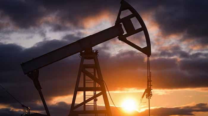 PPL denies plan to build ‘artificial island’, says work limited to safe drilling setup