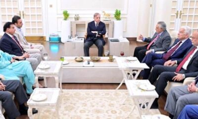 PPP sought lifetime immunity for president, abolition of NAB in 27th Amendment