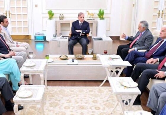 PPP sought lifetime immunity for president, abolition of NAB in 27th Amendment