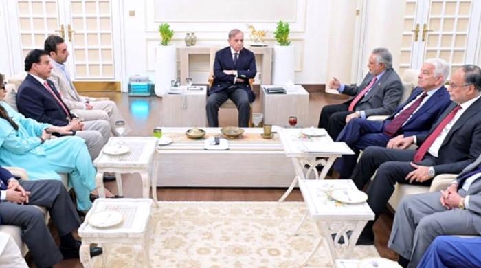 PPP sought lifetime immunity for president, abolition of NAB in 27th Amendment