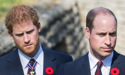 Prince William always ‘kept an eye out’ for Prince Harry, says expert