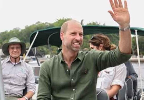 Prince William waves at crowd as he comes out of public toilet in Rio de Janiro
